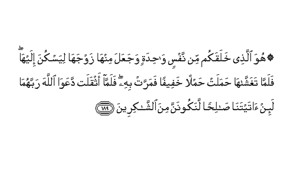 Selections from the Quran for marriage / Waleema card