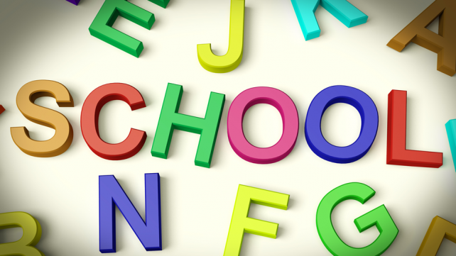 Making the most of a public school education
