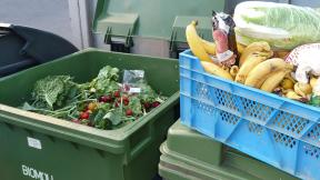 A box full of recovered vegetables and fruits dug out of the waste of a hypermarket